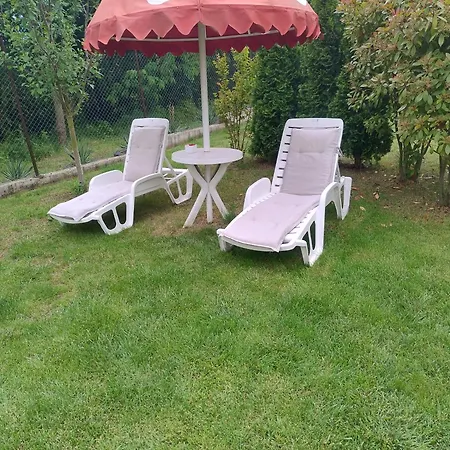 акация